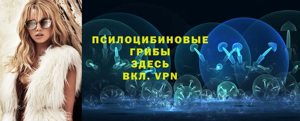 МДМА Новодвинск